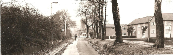 Nuttall Lane looking west late 1970s  digitised
17 - Buildings and the Urban Environment - 05 - Street Scenes
Keywords: Bury-Archive