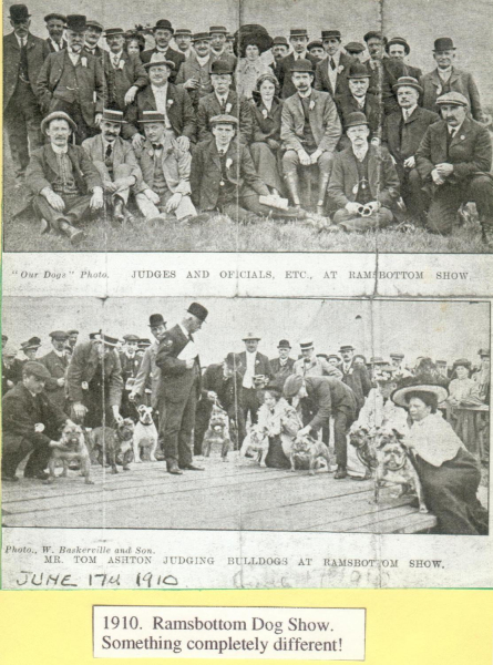 Ramsbottom Show,17/6/1910. 1: Judges & Officials 2:Tom Ashton.. ..judges bulldogs Ep384] Probably cuttings from unknown newspaper. 
18 - Agriculture and the Natural Environment - 01 - Agriculture
Keywords: Bury-Archive