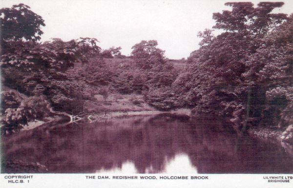 n.d. The Dam, Redisher Woods, Holcombe Brook 
18 - Agriculture and the Natural Environment - 03 - Topography
Keywords: Bury-Archive