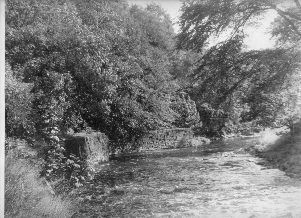 The Irwell at Golinrod 
18 - Agriculture and the Natural Environment - 03 - Topography
Keywords: Bury-Archive