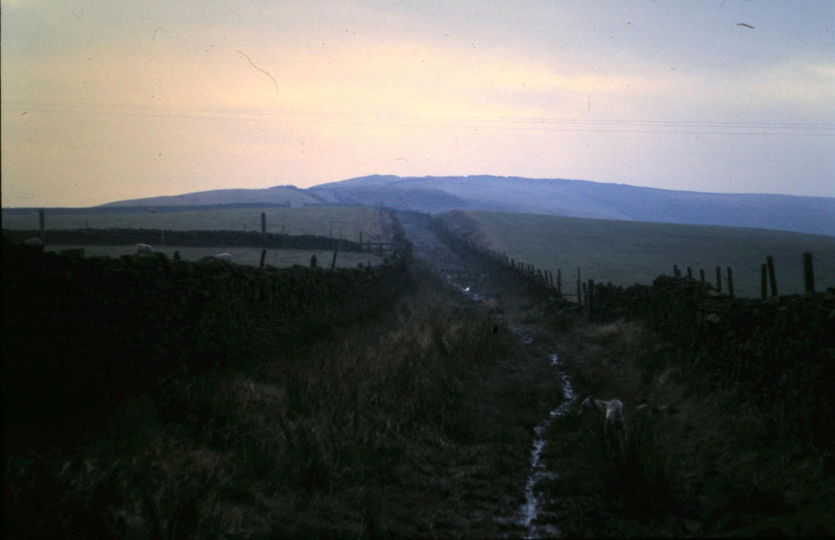 Holcombe Moor
18 - Agriculture and the Natural Environment - 03 - Topography
Keywords: Bury-Archive