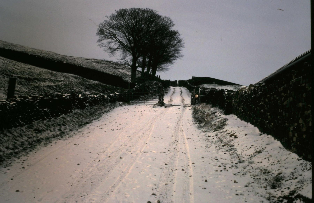 Holcombe Moor
18 - Agriculture and the Natural Environment - 03 - Topography
Keywords: Bury-Archive