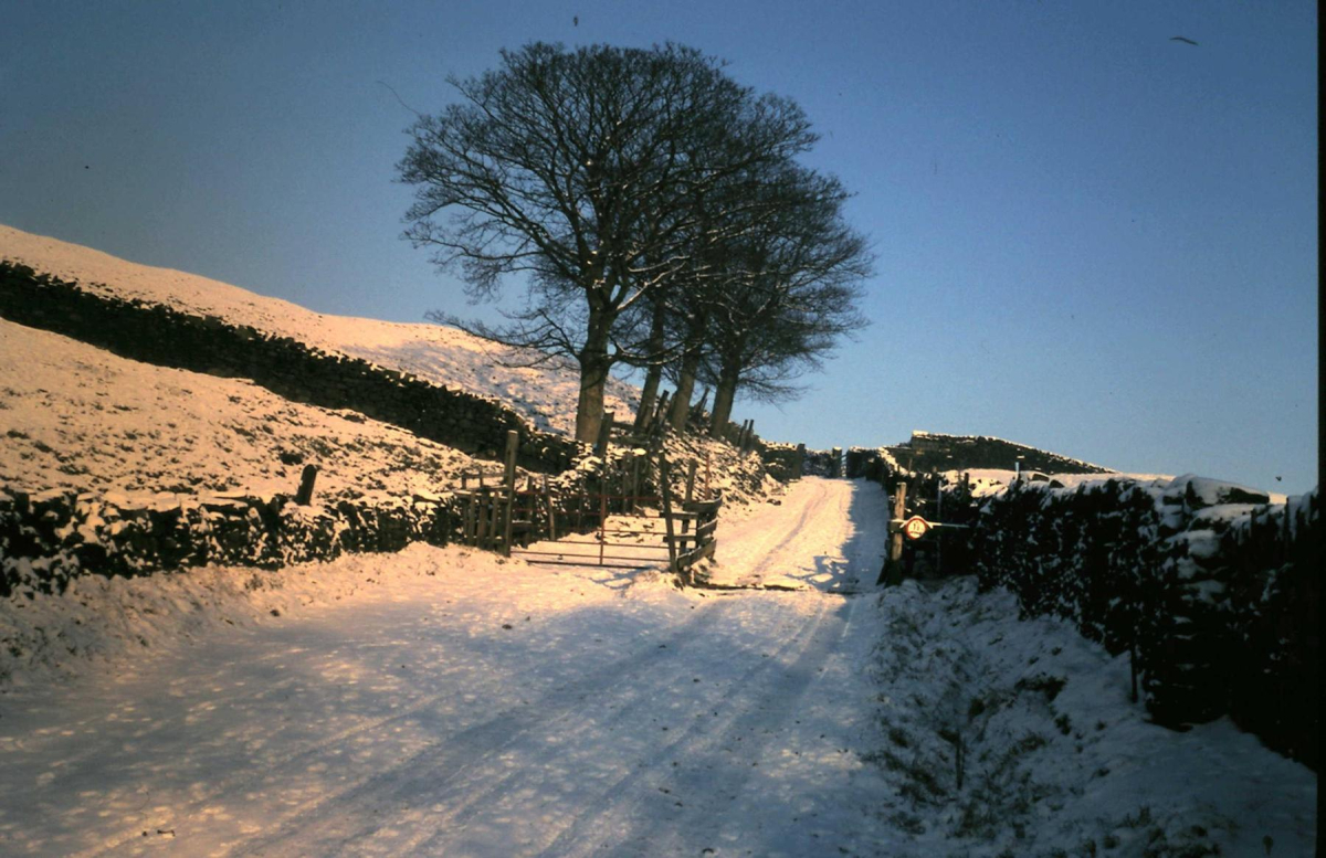 Holcombe Moor
18 - Agriculture and the Natural Environment - 03 - Topography
Keywords: Bury-Archive