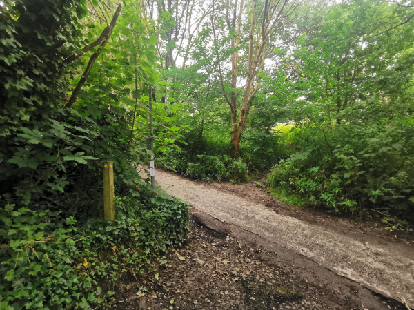 Water Treatment work by United Utilities in Nuttall Village from 2023 - 2026
17-Buildings and the Urban Environment-05-Street Scenes-019-Nuttall area
