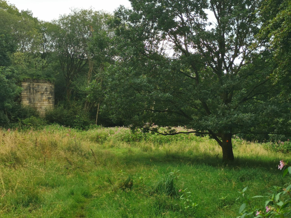 Water Treatment work by United Utilities in Nuttall Village from 2023 - 2026
17-Buildings and the Urban Environment-05-Street Scenes-019-Nuttall area
