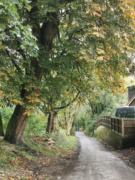 Water Treatment work by United Utilities in Nuttall Village from 2023 - 2026
17-Buildings and the Urban Environment-05-Street Scenes-019-Nuttall area
