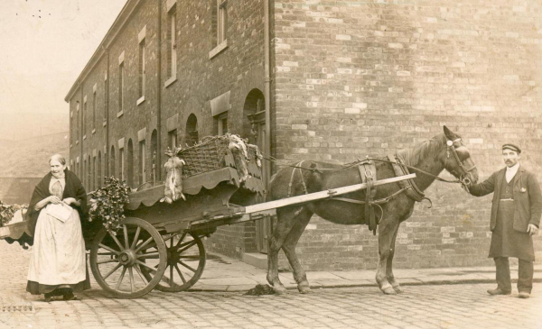 Brooksbottom, Summerseat showing horse and cart with attached game, trader and customer, in front of Brick Houses.
04 - Finance and Trade - 04 - Carriers and Haulage
Keywords: Bury-Archive