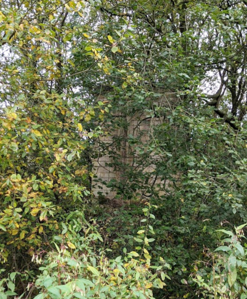 Nuttall Mill Chimney Remains; tree pruning to reveal the chimney which was part of Nuttall Village
17-Buildings and the Urban Environment-05-Street Scenes-019-Nuttall area
Keywords: 2021