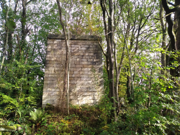 Nuttall Mill Chimney Remains; tree pruning to reveal the chimney which was part of Nuttall Village
17-Buildings and the Urban Environment-05-Street Scenes-019-Nuttall area
Keywords: 2021