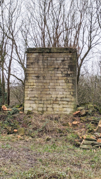 Nuttall Mill Chimney Remains; tree pruning to reveal the chimney which was part of Nuttall Village
17-Buildings and the Urban Environment-05-Street Scenes-019-Nuttall area
Keywords: 2021